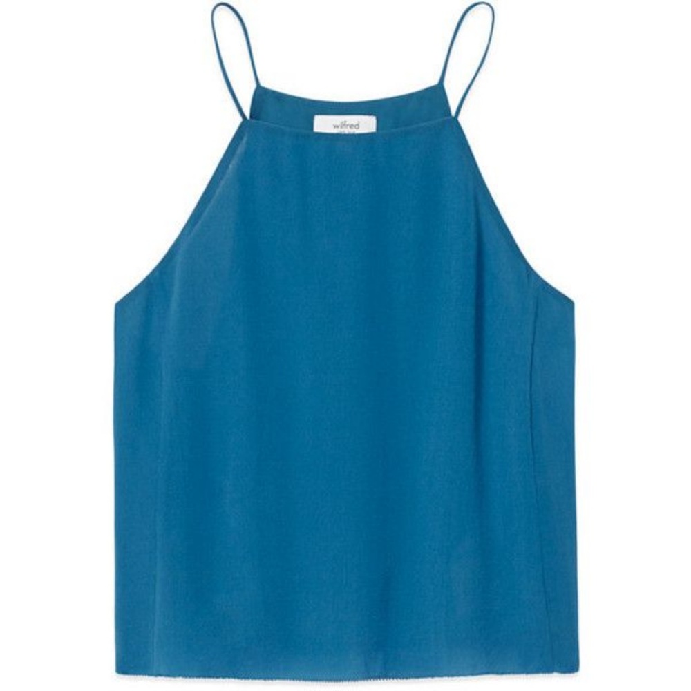 Aritzia Blue Rians Blouse